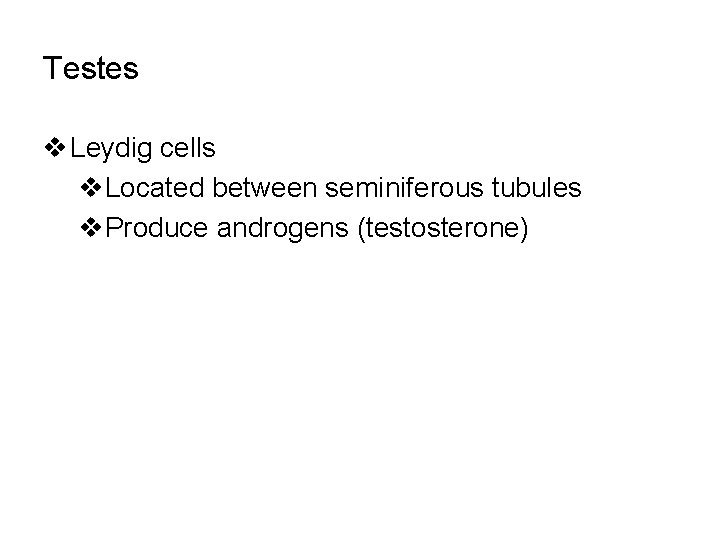 Testes v Leydig cells v. Located between seminiferous tubules v. Produce androgens (testosterone) 