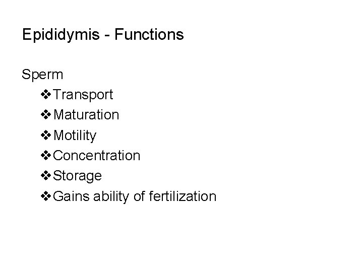 Epididymis - Functions Sperm v. Transport v. Maturation v. Motility v. Concentration v. Storage