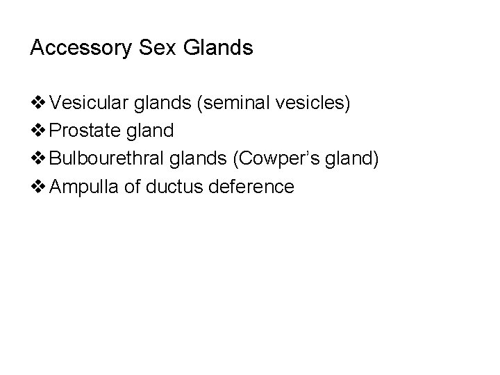 Accessory Sex Glands v Vesicular glands (seminal vesicles) v Prostate gland v Bulbourethral glands