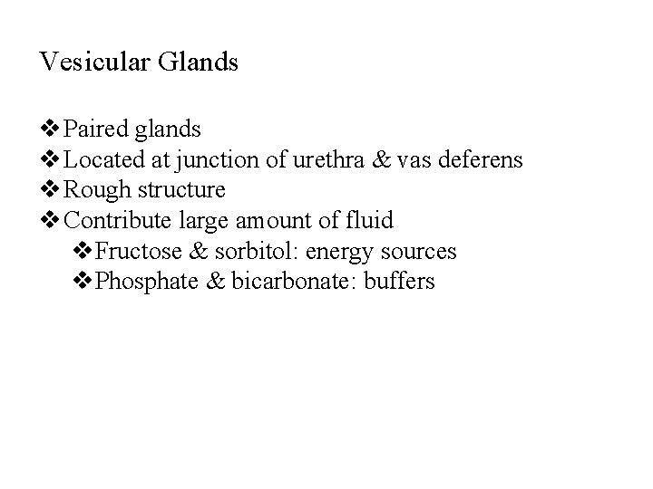 Vesicular Glands v Paired glands v Located at junction of urethra & vas deferens