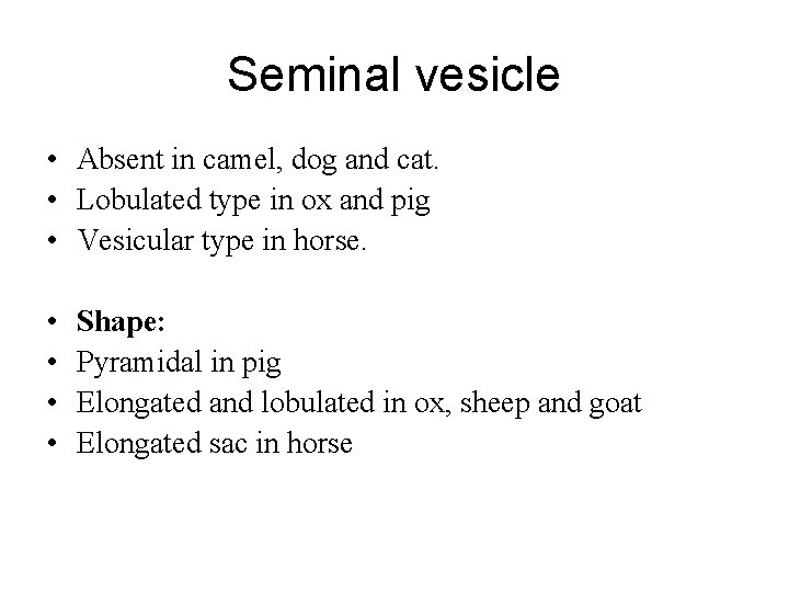 Seminal vesicle • Absent in camel, dog and cat. • Lobulated type in ox