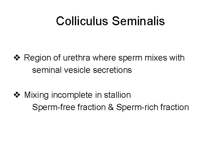 Colliculus Seminalis v Region of urethra where sperm mixes with seminal vesicle secretions v
