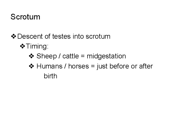 Scrotum v Descent of testes into scrotum v. Timing: v Sheep / cattle =