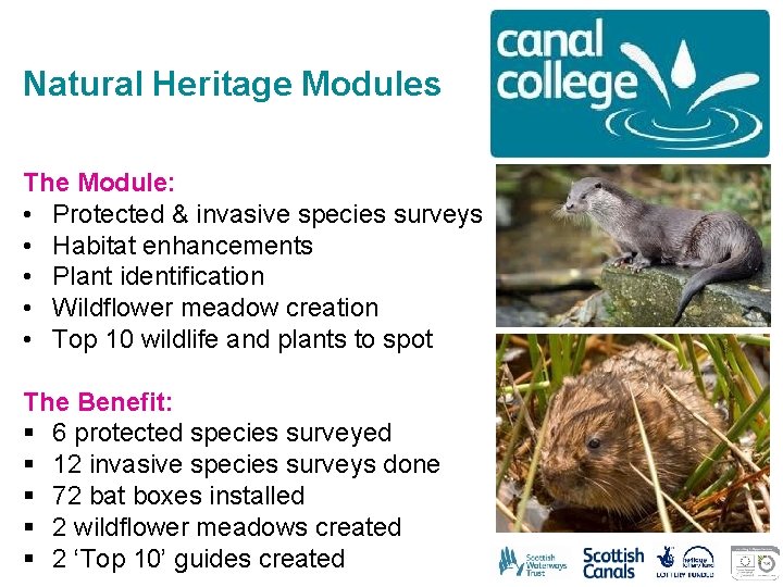 Natural Heritage Modules The Module: • Protected & invasive species surveys • Habitat enhancements