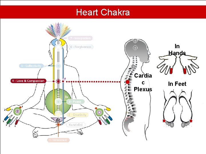 Heart Chakra In Hands Cardia c Plexus In Feet 