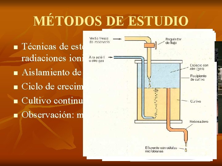 MÉTODOS DE ESTUDIO n n n Técnicas de esterilización: autoclave, radiaciones ionizantes, filtración. .