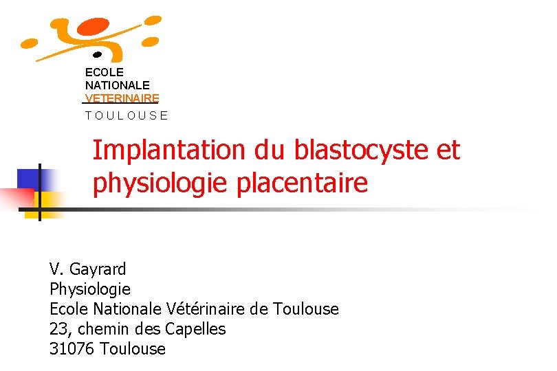 ECOLE NATIONALE VETERINAIRE TOULOUSE Implantation du blastocyste et physiologie placentaire V. Gayrard Physiologie Ecole