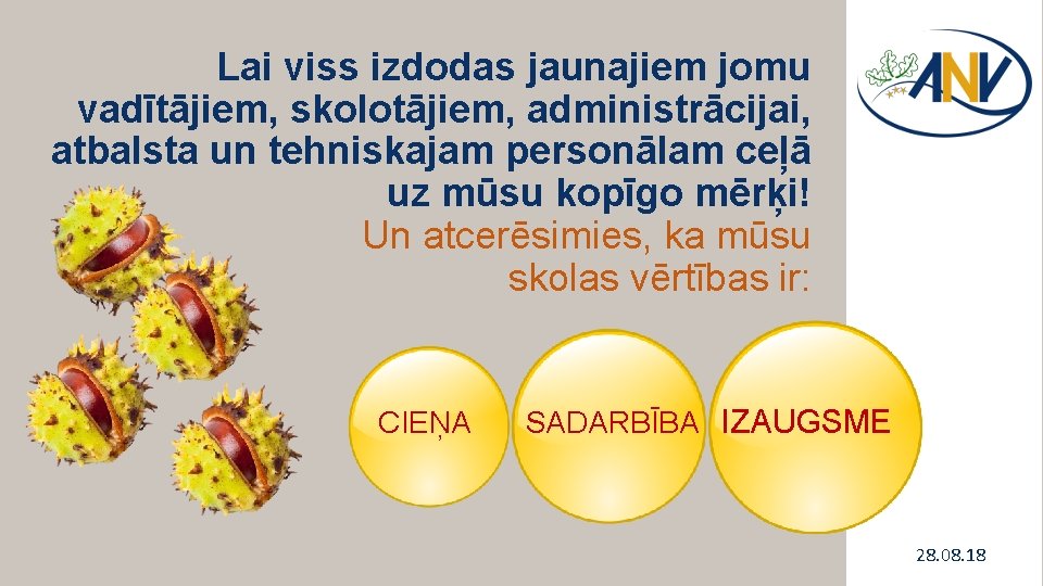 Lai viss izdodas jaunajiem jomu vadītājiem, skolotājiem, administrācijai, atbalsta un tehniskajam personālam ceļā uz Lai viss izdodas jaunajiem jomu vadītājiem, skolotājiem, administrācijai, atbalsta un tehniskajam personālam ceļā uz