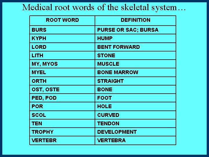 Medical root words of the skeletal system… ROOT WORD DEFINITION BURS PURSE OR SAC;