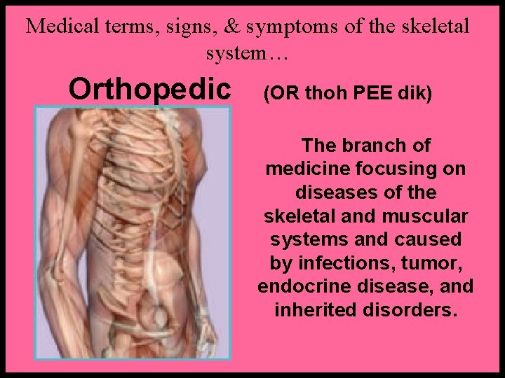 Medical terms, signs, & symptoms of the skeletal system… Orthopedic (OR thoh PEE dik)
