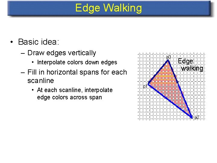 Edge Walking • Basic idea: – Draw edges vertically • Interpolate colors down edges