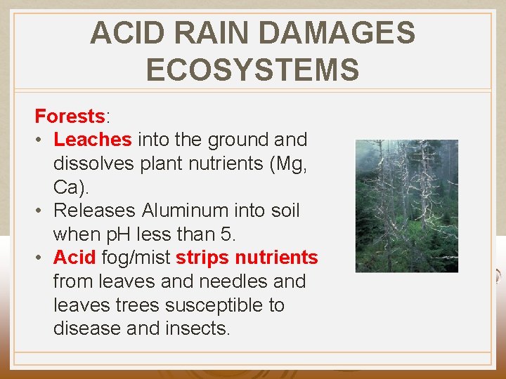 ACID RAIN DAMAGES ECOSYSTEMS Forests: • Leaches into the ground and dissolves plant nutrients