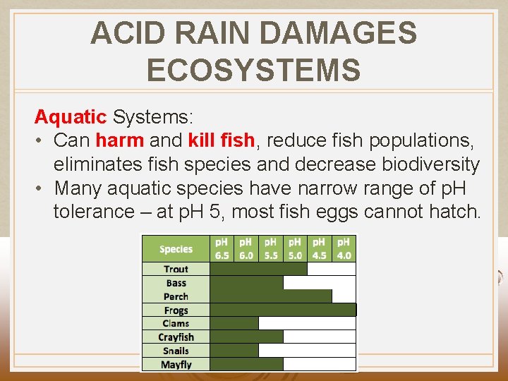 ACID RAIN DAMAGES ECOSYSTEMS Aquatic Systems: • Can harm and kill fish, reduce fish