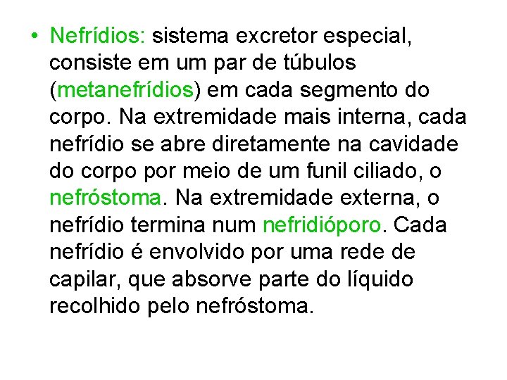  • Nefrídios: sistema excretor especial, consiste em um par de túbulos (metanefrídios) em