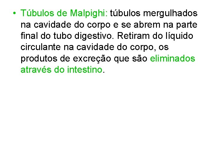  • Túbulos de Malpighi: túbulos mergulhados na cavidade do corpo e se abrem