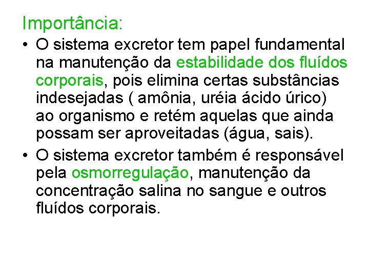 Importância: • O sistema excretor tem papel fundamental na manutenção da estabilidade dos fluídos