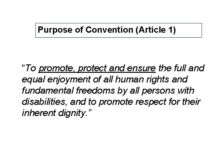 Purpose of Convention (Article 1) “To promote, protect and ensure the full and equal