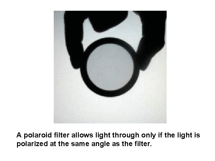 A polaroid filter allows light through only if the light is polarized at the