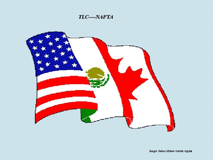 TLC----NAFTA Integró: Rafael Alfonso Carrillo Aguilar 