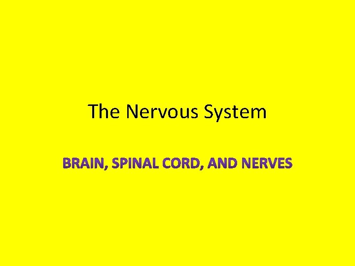 The Nervous System 