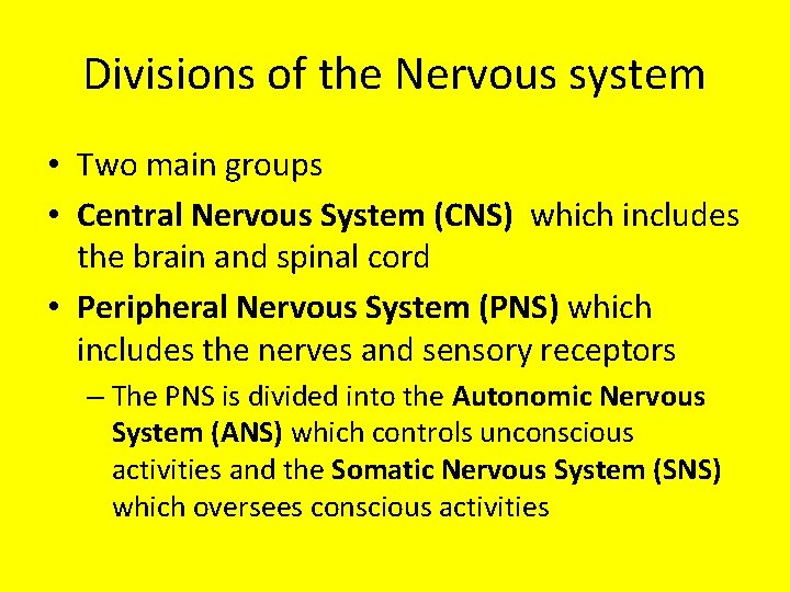 Divisions of the Nervous system • Two main groups • Central Nervous System (CNS)