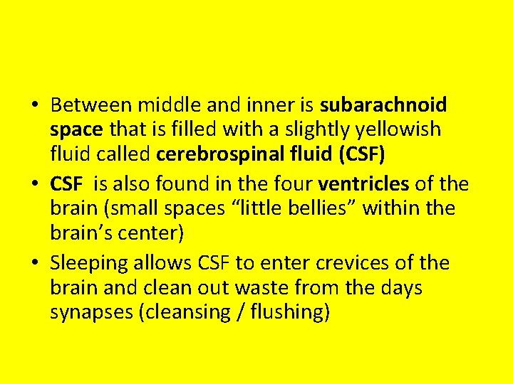  • Between middle and inner is subarachnoid space that is filled with a