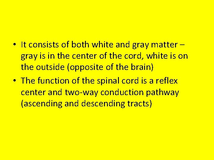  • It consists of both white and gray matter – gray is in