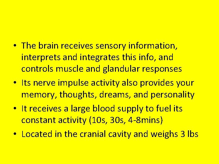  • The brain receives sensory information, interprets and integrates this info, and controls