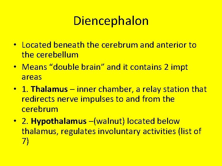 Diencephalon • Located beneath the cerebrum and anterior to the cerebellum • Means “double