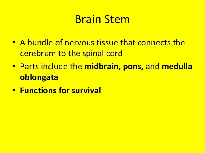 Brain Stem • A bundle of nervous tissue that connects the cerebrum to the