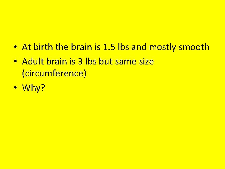  • At birth the brain is 1. 5 lbs and mostly smooth •