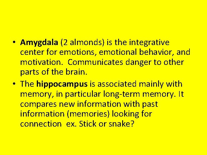  • Amygdala (2 almonds) is the integrative center for emotions, emotional behavior, and