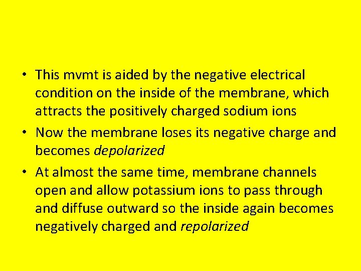  • This mvmt is aided by the negative electrical condition on the inside