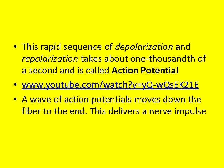  • This rapid sequence of depolarization and repolarization takes about one-thousandth of a