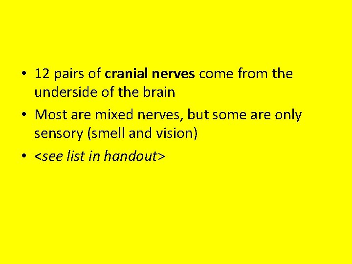  • 12 pairs of cranial nerves come from the underside of the brain