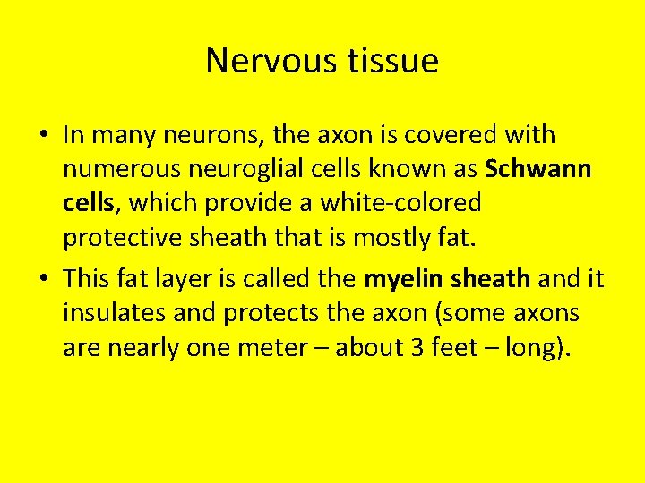 Nervous tissue • In many neurons, the axon is covered with numerous neuroglial cells