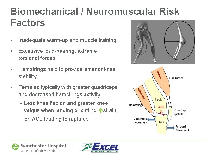 Biomechanical / Neuromuscular Risk Factors • Inadequate warm-up and muscle training • Excessive load-bearing,