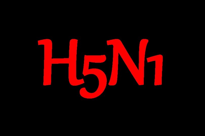 H 5 N 1 