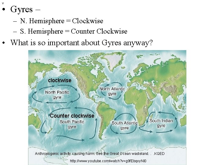 v • Gyres – – N. Hemisphere = Clockwise – S. Hemisphere = Counter