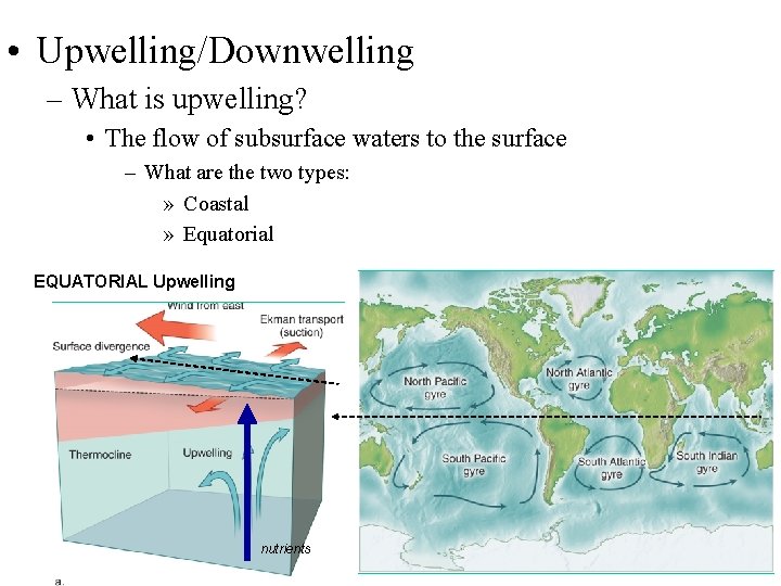 • Upwelling/Downwelling – What is upwelling? • The flow of subsurface waters to