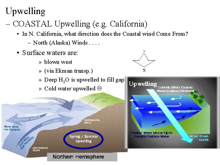 Upwelling – COASTAL Upwelling (e. g. California) • In N. California, what direction does