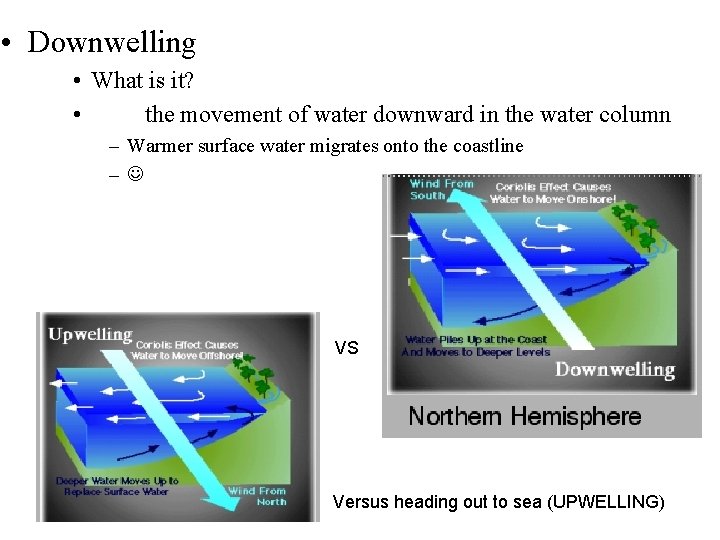  • Downwelling • What is it? • the movement of water downward in