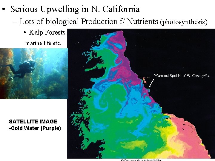  • Serious Upwelling in N. California – Lots of biological Production f/ Nutrients