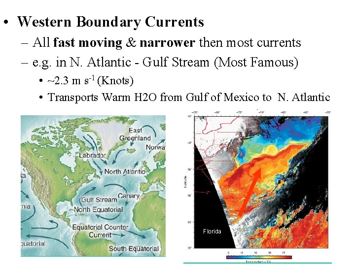  • Western Boundary Currents – All fast moving & narrower then most currents