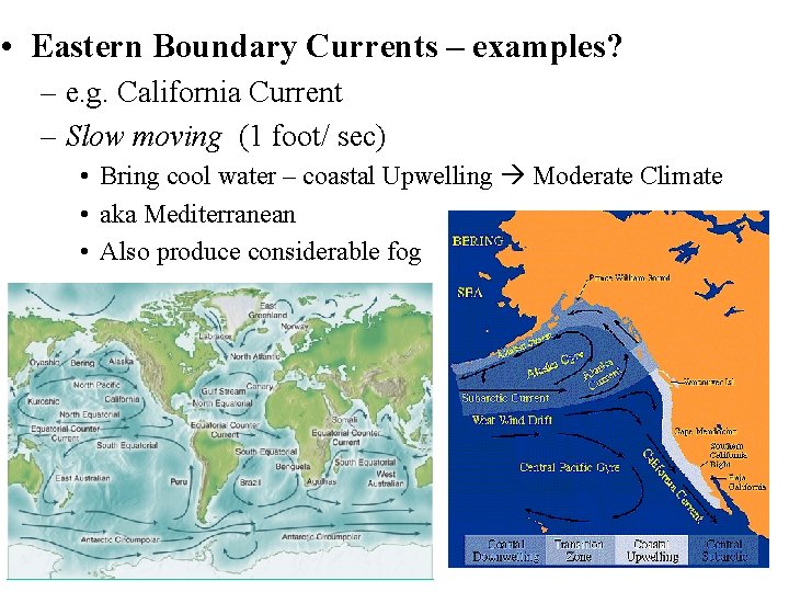  • Eastern Boundary Currents – examples? – e. g. California Current – Slow