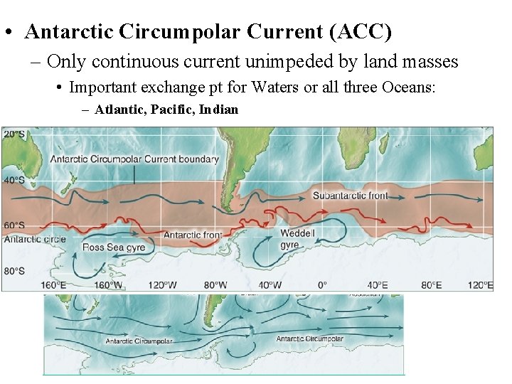  • Antarctic Circumpolar Current (ACC) – Only continuous current unimpeded by land masses