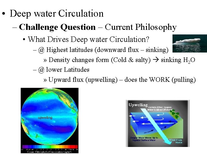  • Deep water Circulation – Challenge Question – Current Philosophy • What Drives