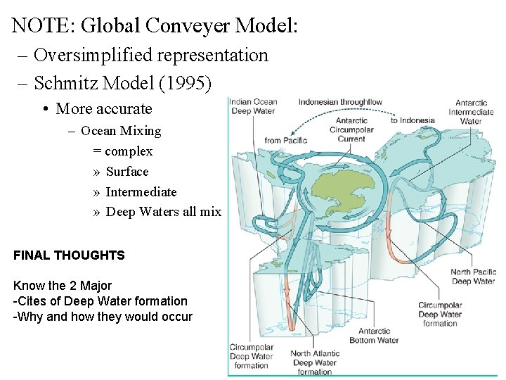  • NOTE: Global Conveyer Model: – Oversimplified representation – Schmitz Model (1995) •