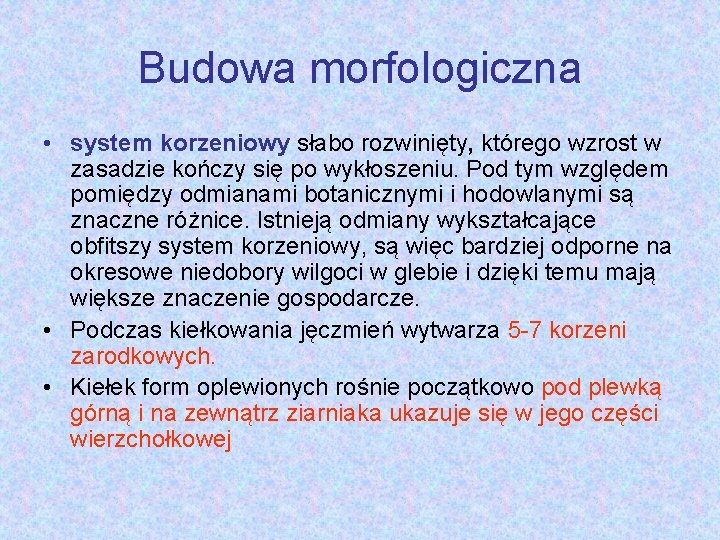 Budowa morfologiczna • system korzeniowy słabo rozwinięty, którego wzrost w zasadzie kończy się po