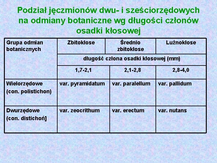 Podział jęczmionów dwu i sześciorzędowych na odmiany botaniczne wg długości członów osadki kłosowej Grupa